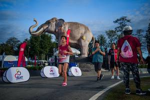 BIB: 
                            <button type="button" onclick="openModal(26541868)" class="btn btn-primary btn-sm float-right btn-popup" data-toggle="modal" data-target=".modal-high-quality">
                        <i class="fas fa-shopping-cart"></i> Add to Cart
                    </button>
                                            <button type="button" onclick="isThisMe(26541868, true)" class="btn btn-success btn-sm float-right btn-popup btn-isme hidden" data-toggle="tooltip" data-placement="bottom" title="นี่คือรูปของคุณใช่ไหม คลิกที่นี่เพื่อเอาเข้าอัลบั้ม">
                        <i class="fas fa-plus"></i> Add to album
                    </button>
                    <button type="button" onclick="isThisMe(26541868, false)" class="btn btn-warning btn-sm float-right btn-popup btn-isnotme hidden">
                        <i class="fas fa-ban"></i> Remove from album
                    </button>